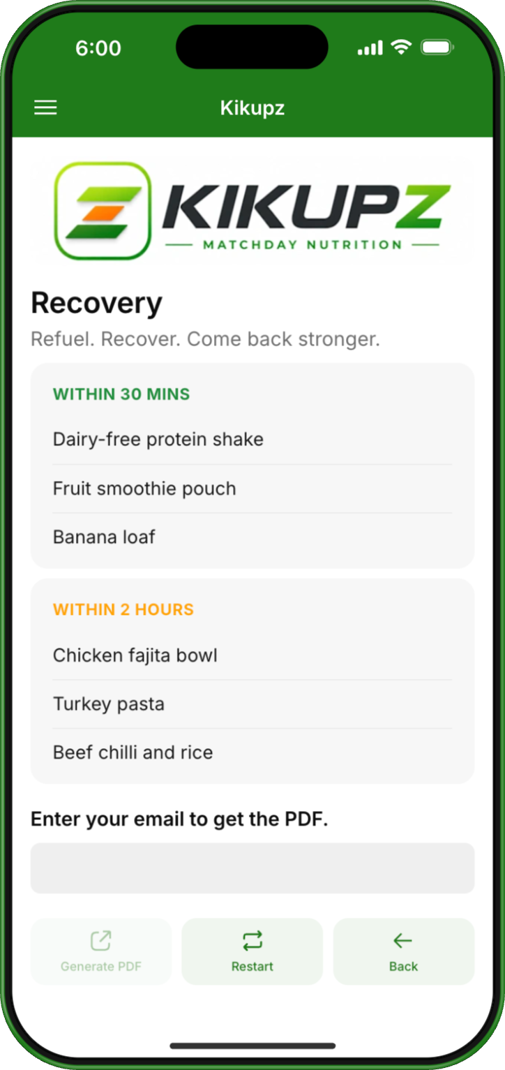 Step 3 — recovery plan and PDF download